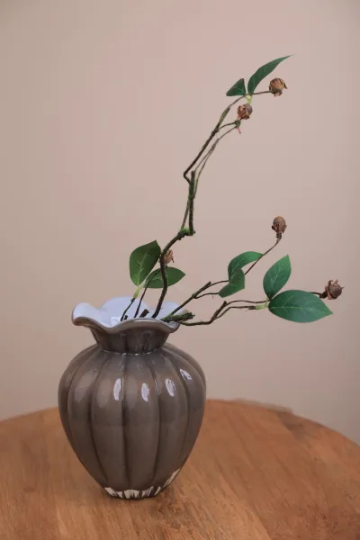 فازه دائريه مخدده