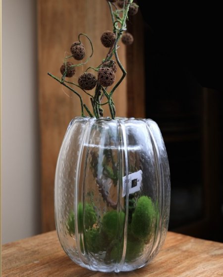 5720-9 فازه شفاف