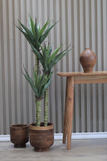 شجرة الوفيرا (130cm( mellisa-2