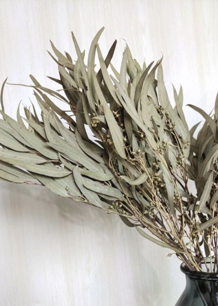 5006-13 ورد طبيعي